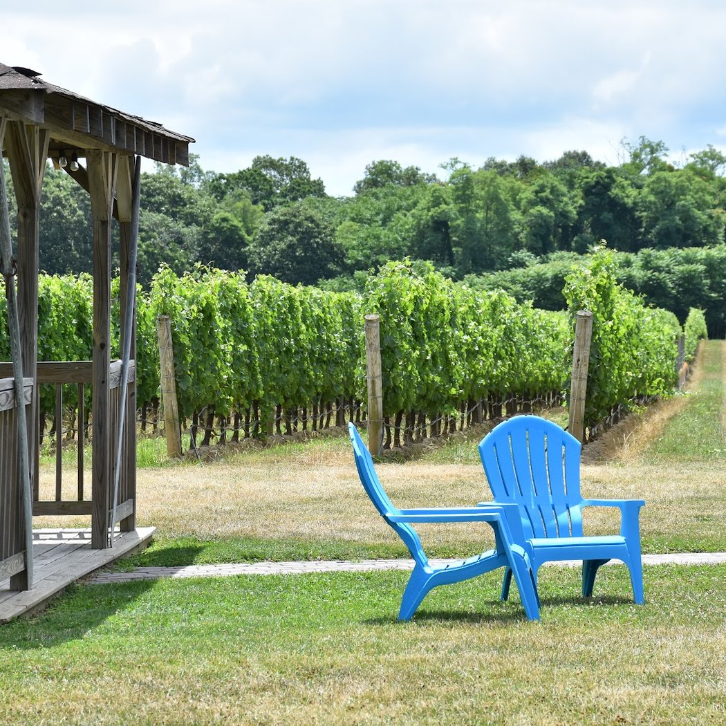 Jason's Vineyard 1