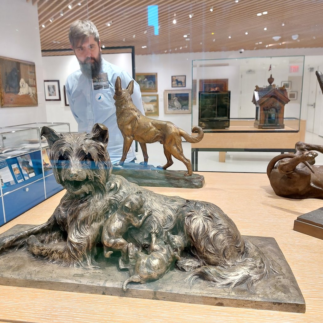 Scotland, The Brave Dogs