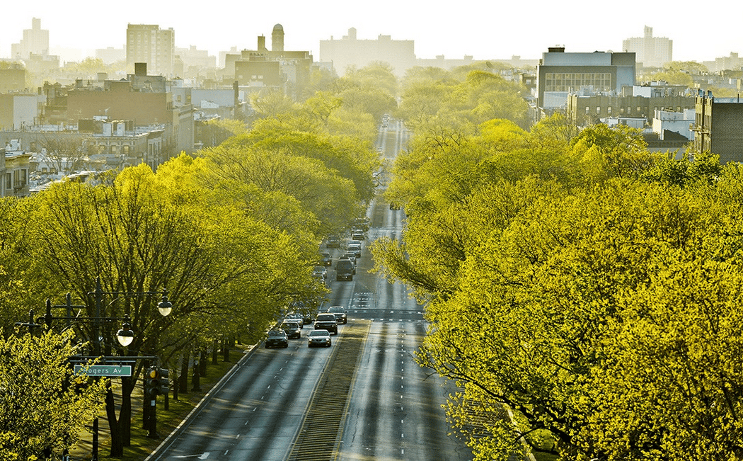 Eastern Parkway 1
