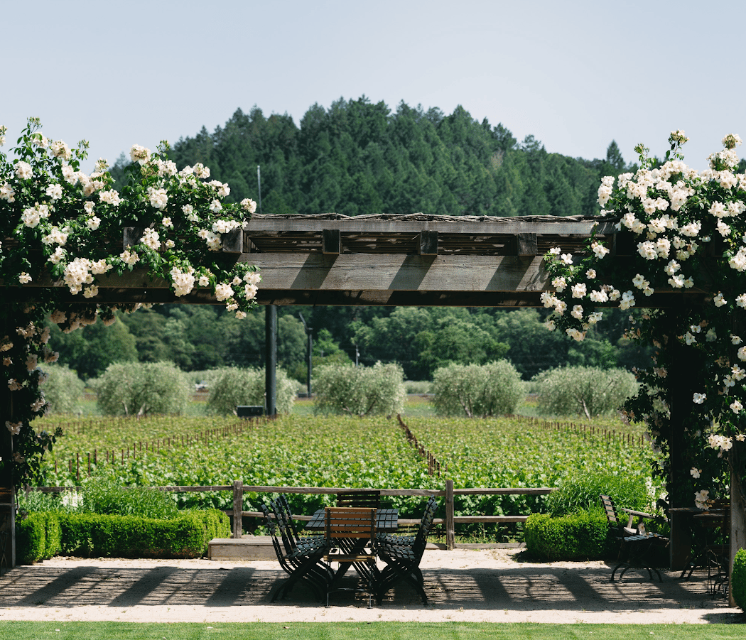The Napa Valley Reserve 2