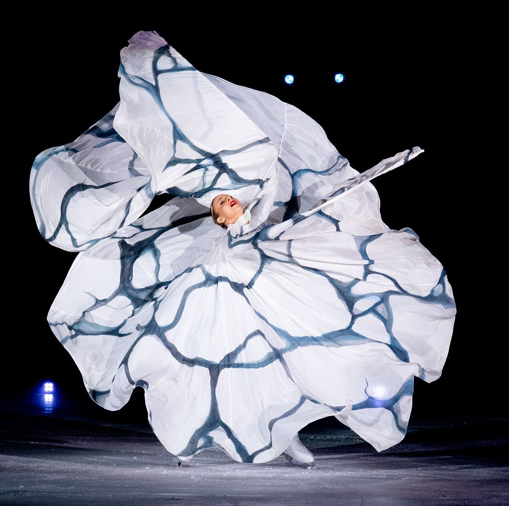 ARCTIC MEMORY 1