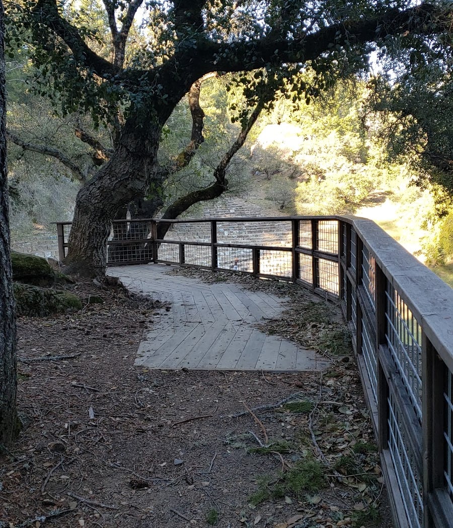 Walking Mt. Tam: Trails of Creativity 3
