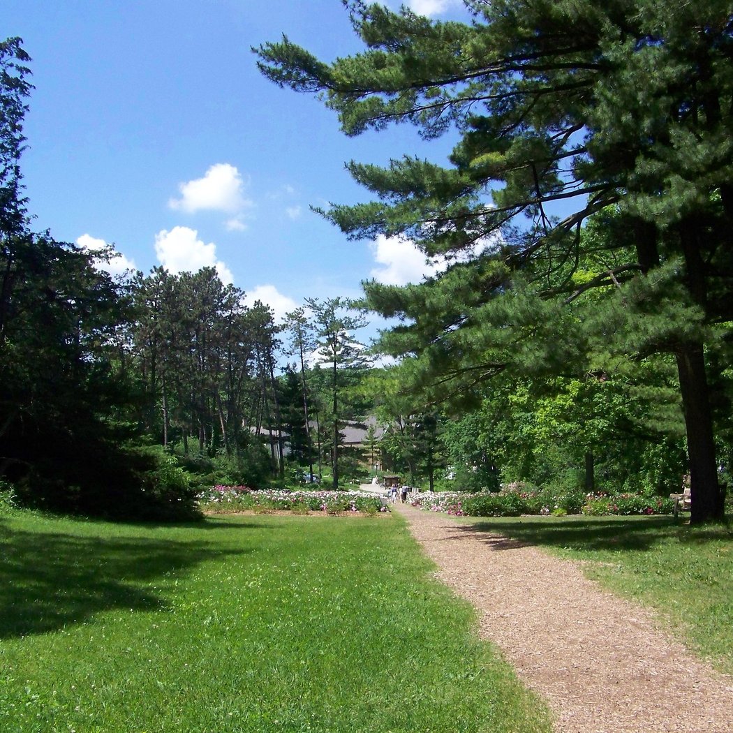 Nichols Arboretum 2