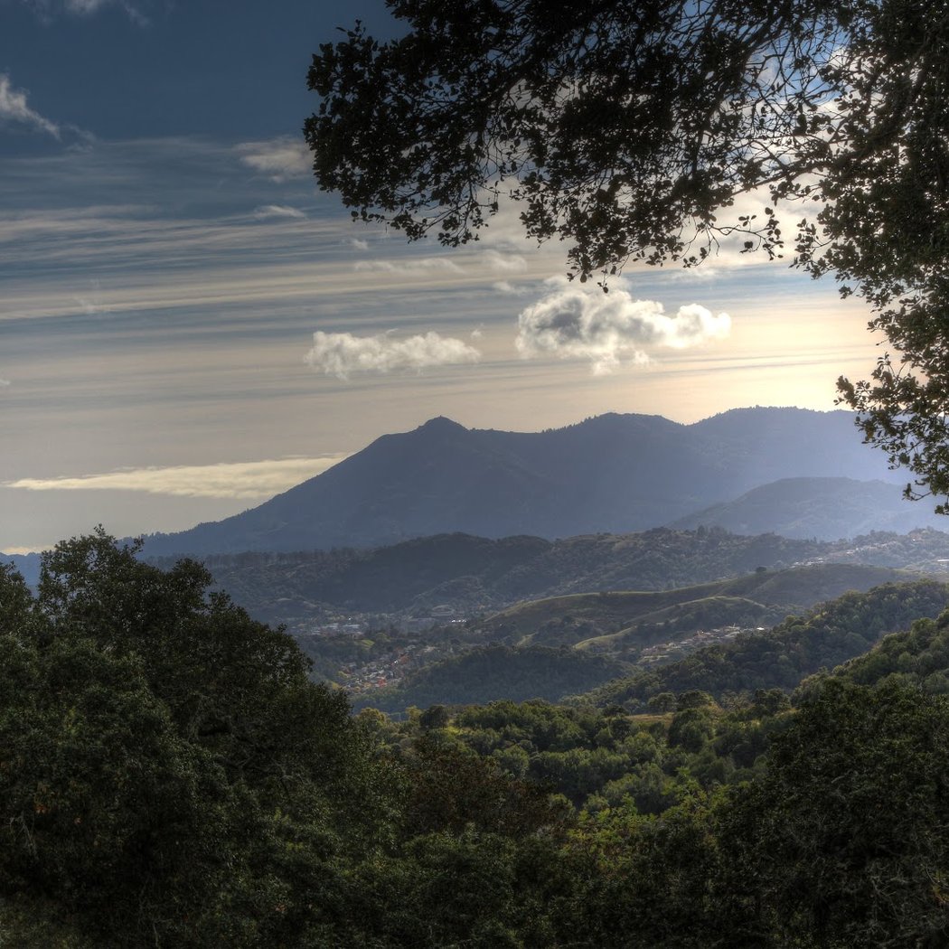 Loma Verde Preserve 2