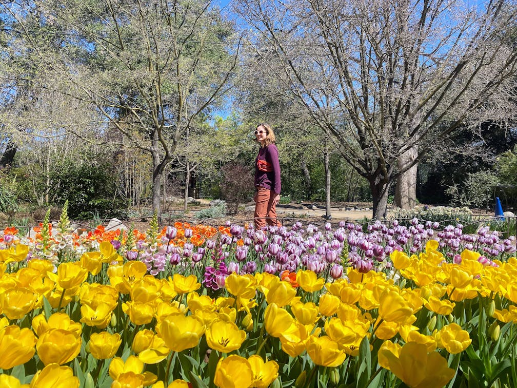 Descanso Gardens 3