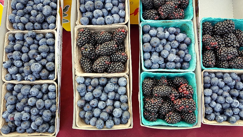 Marina Del Rey Farmers Market 1