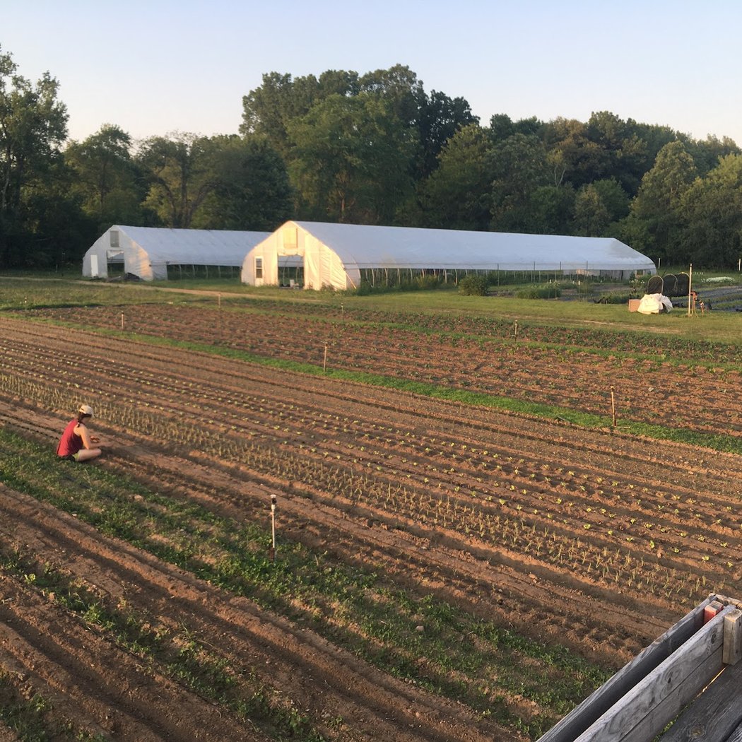 Good Neighbor Farm 2