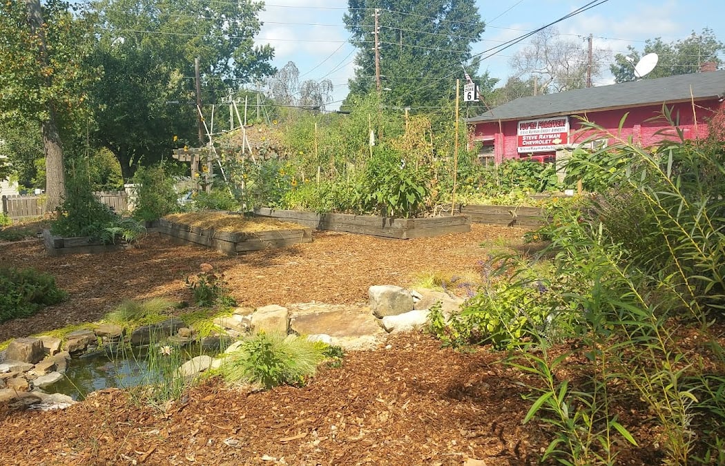 Volunteer Opportunity: Edgewood Garden 3