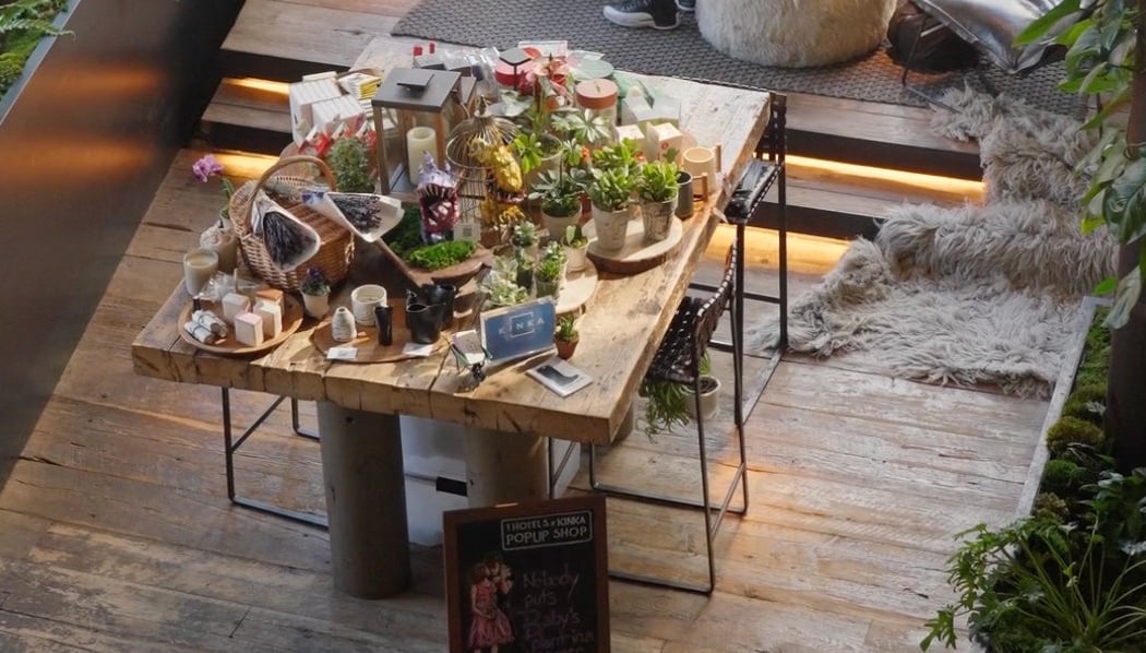 Sustainable Succulents with KINKA 1