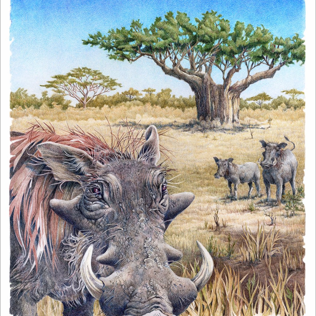 Advanced Colored Pencil Techniques with Elliott Everson 2