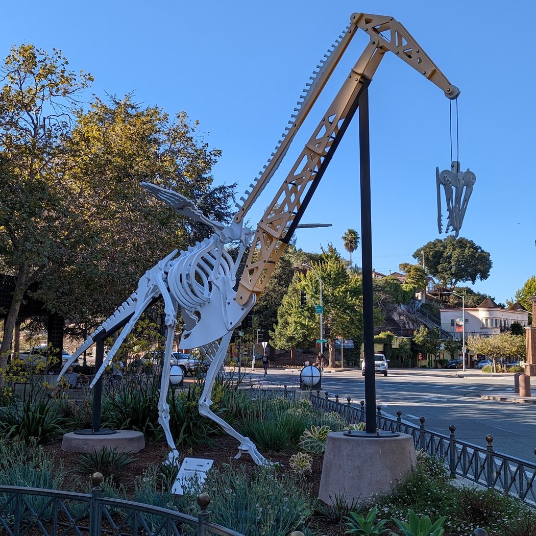 Santa Cruz 3
