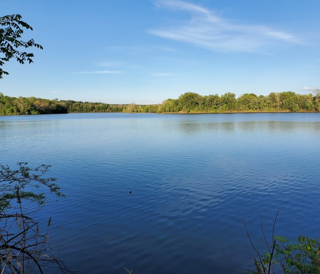 Simpson Park 3