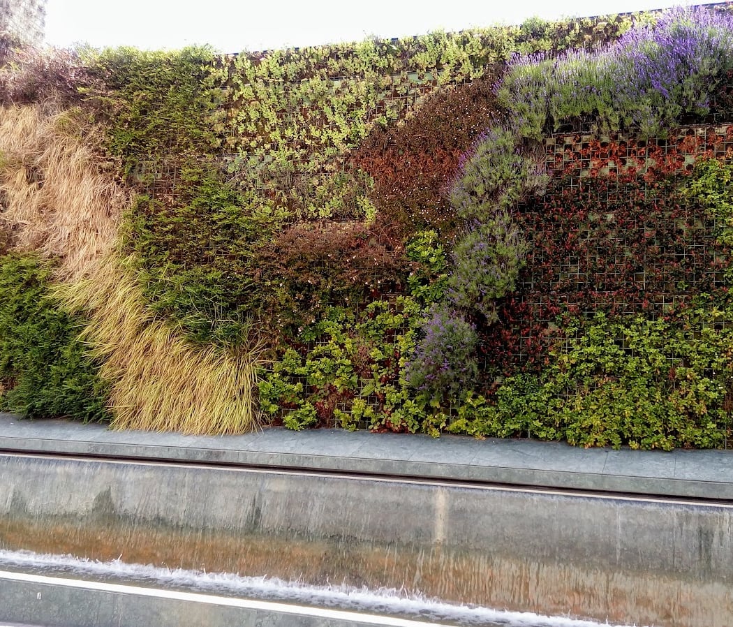 Vertical Garden 2