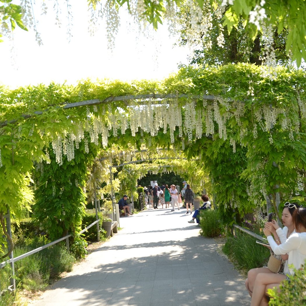 Avant les nymphéas. Monet découvre Giverny, 1883-1890 2