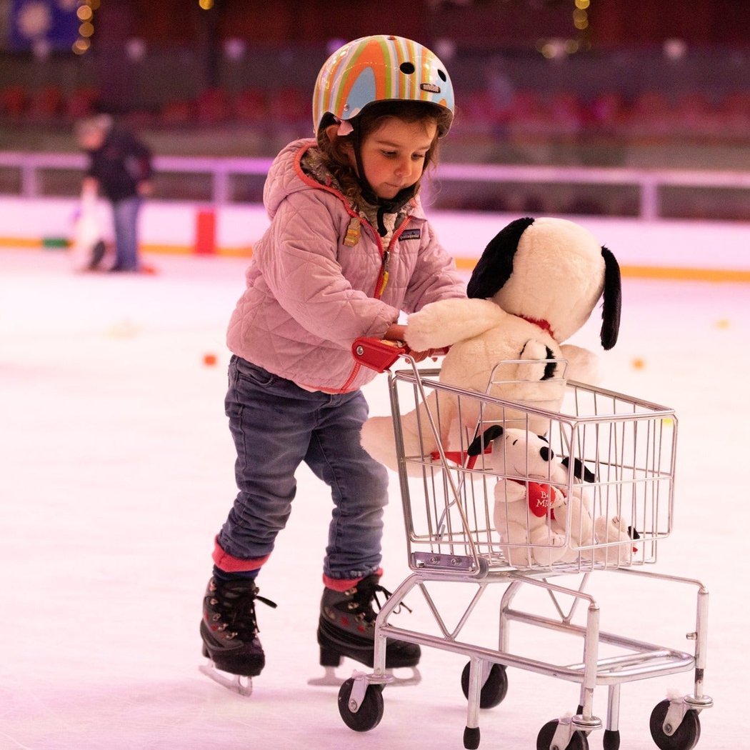 Snoopy's Home Ice 1