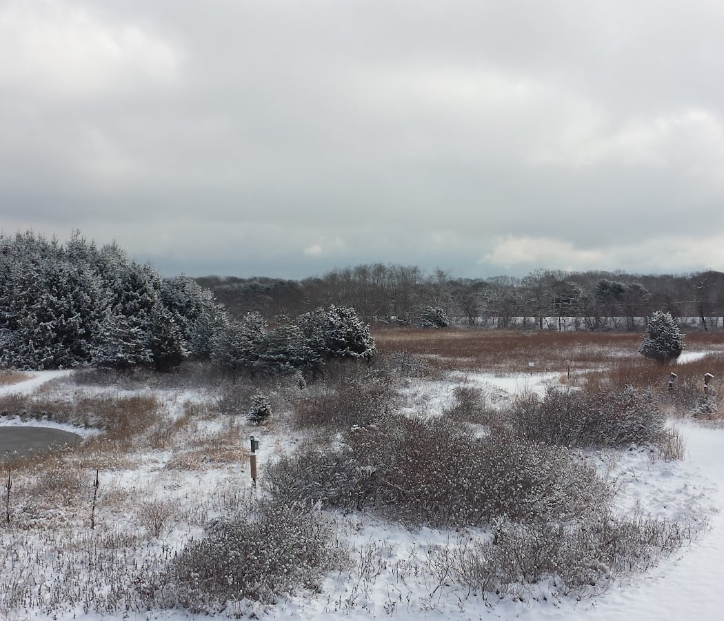 East End Outdoor Nature Education at Vineyard Field 1