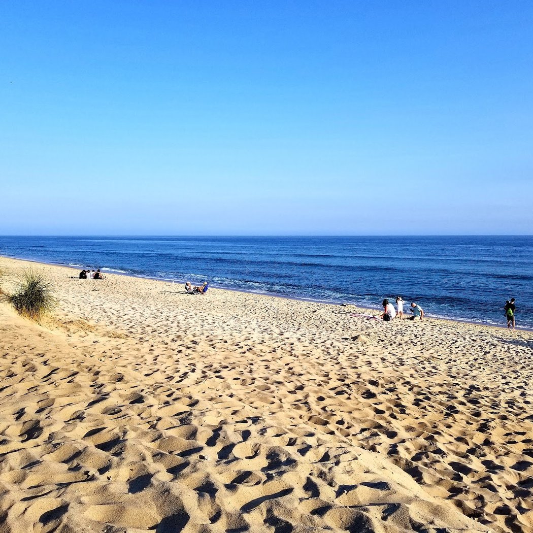 Madaket Beach 3