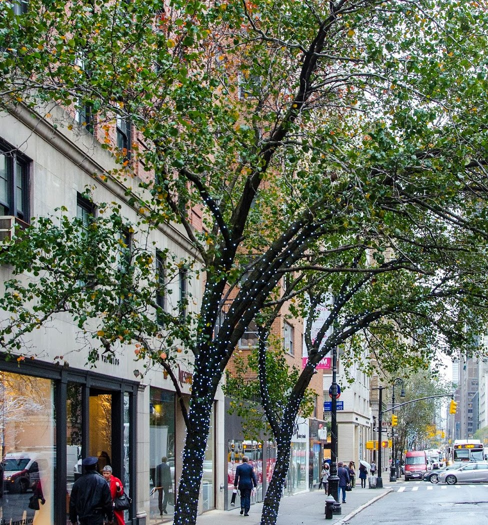 Madison Avenue Business Improvement District 1