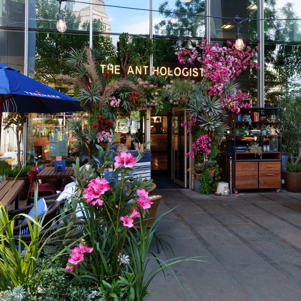 The Anthologist St Peter's Square 5