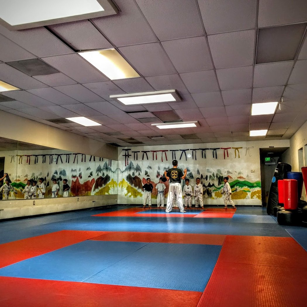 Phoenix Rising Institute of Martial Arts 1