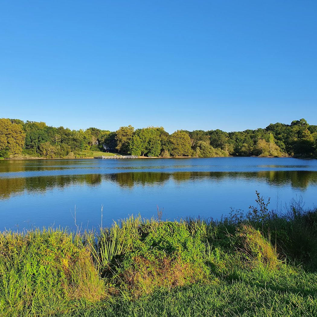 Lac Marion 2