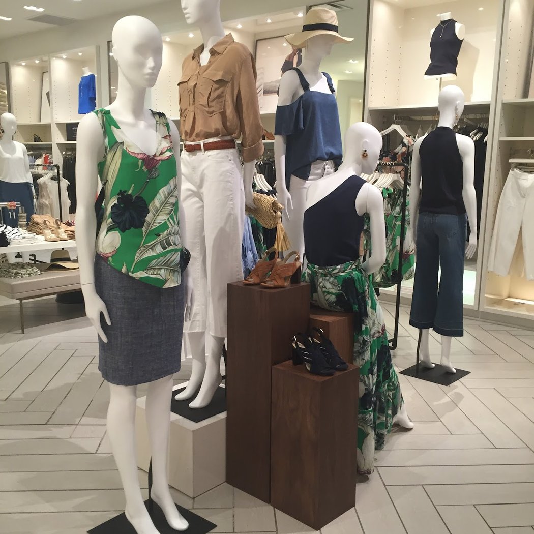 Ann Taylor 1