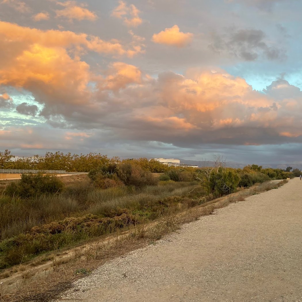 Guadalupe River Trail 1