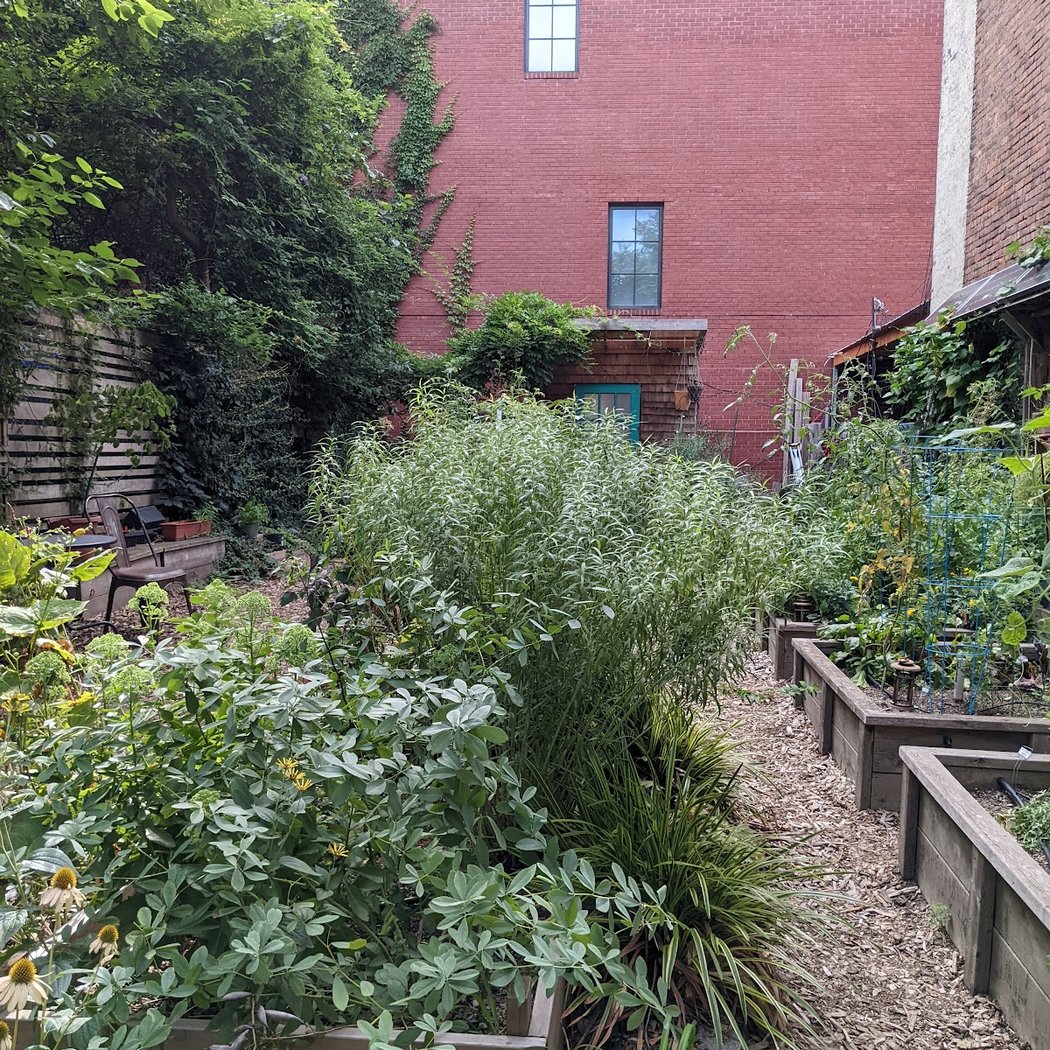 61 Franklin Street 2