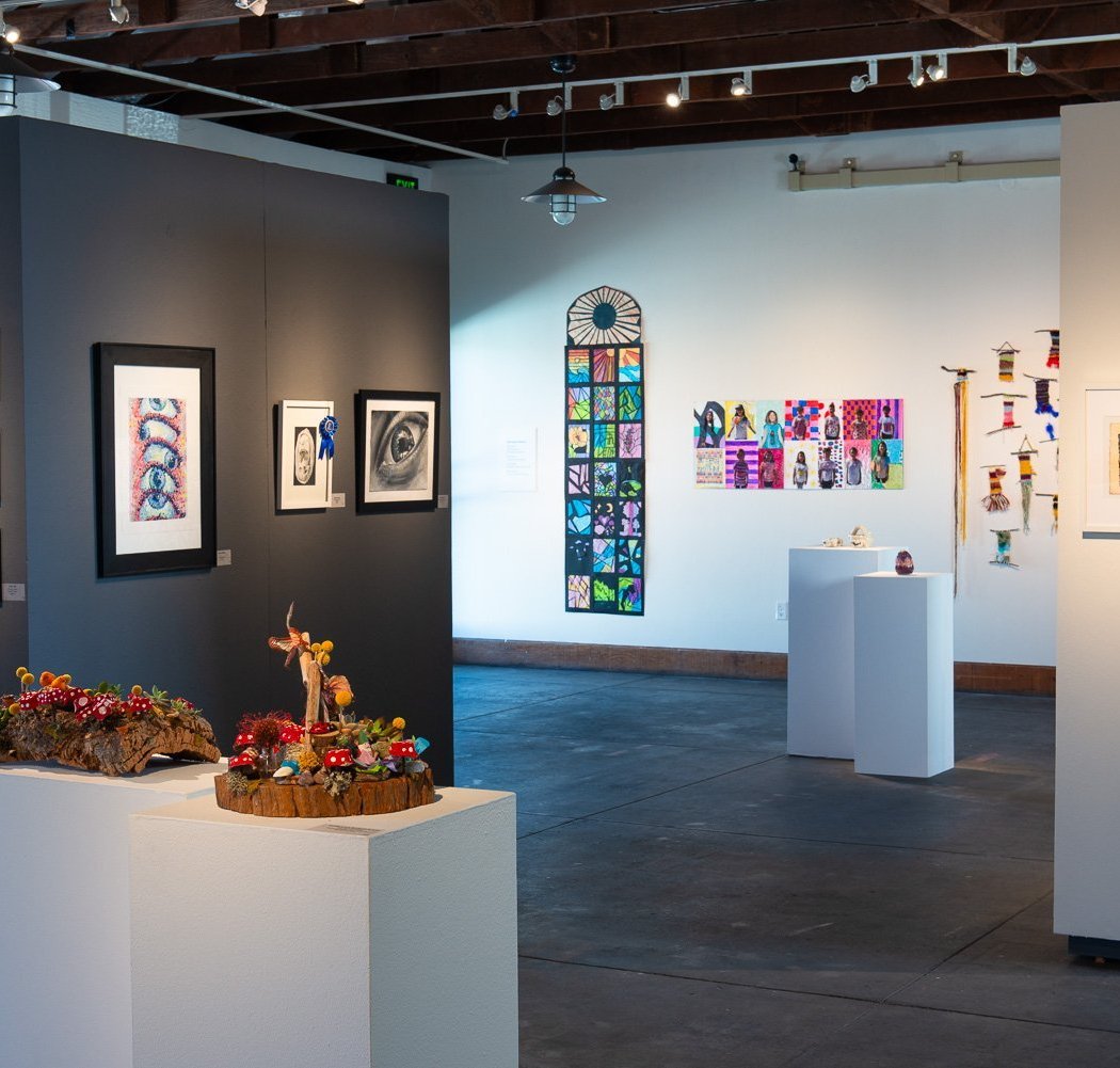 Members’ Exhibition and Silent Auction 1