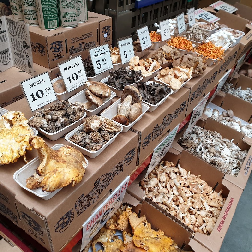 Far West Fungi 3