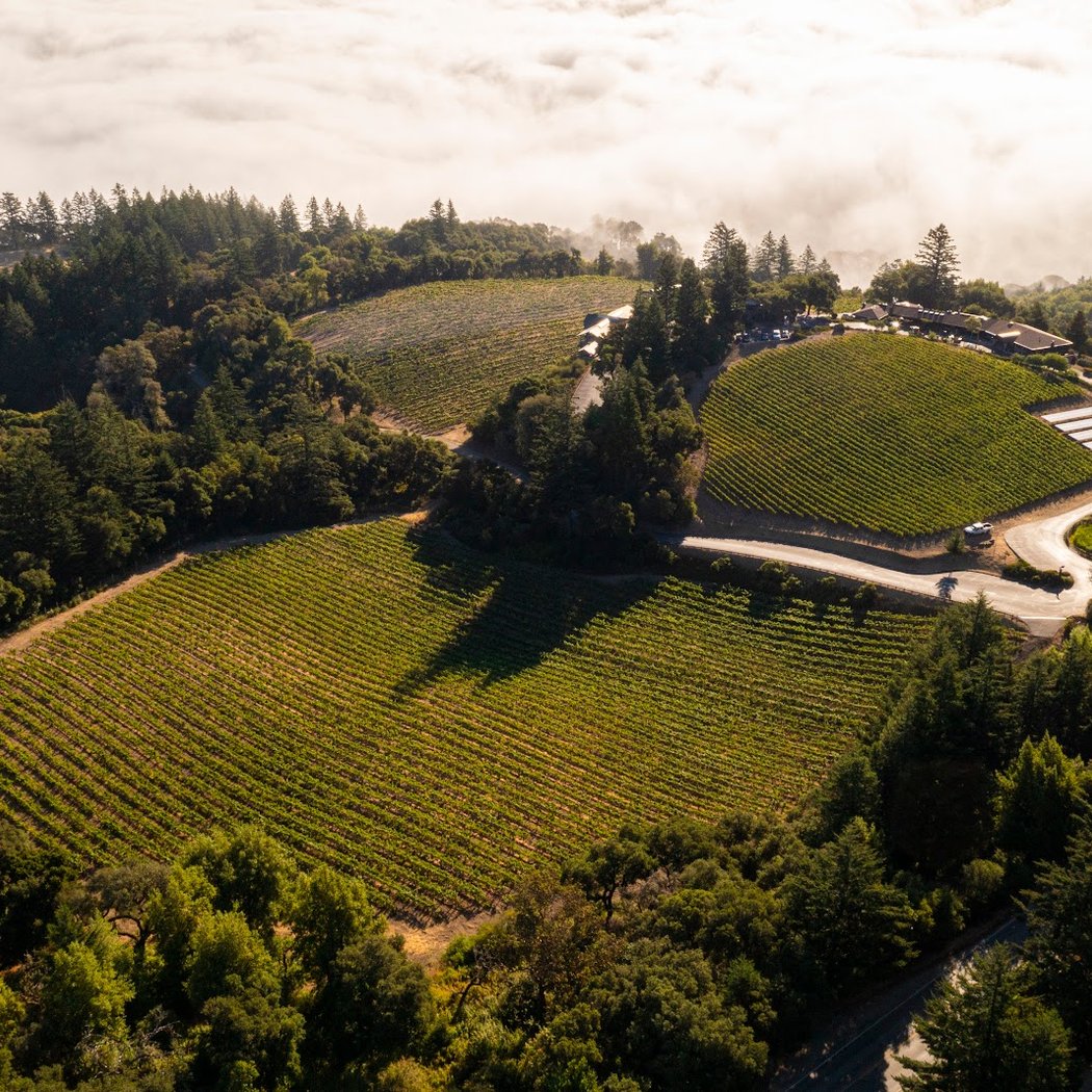 Fresh Produce and Fogarty Wine Event 2