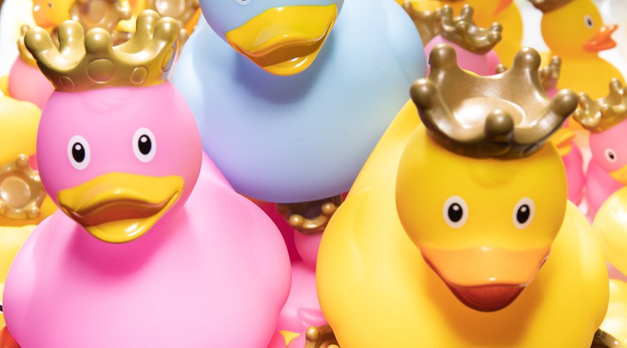 Paris Duck Store 1