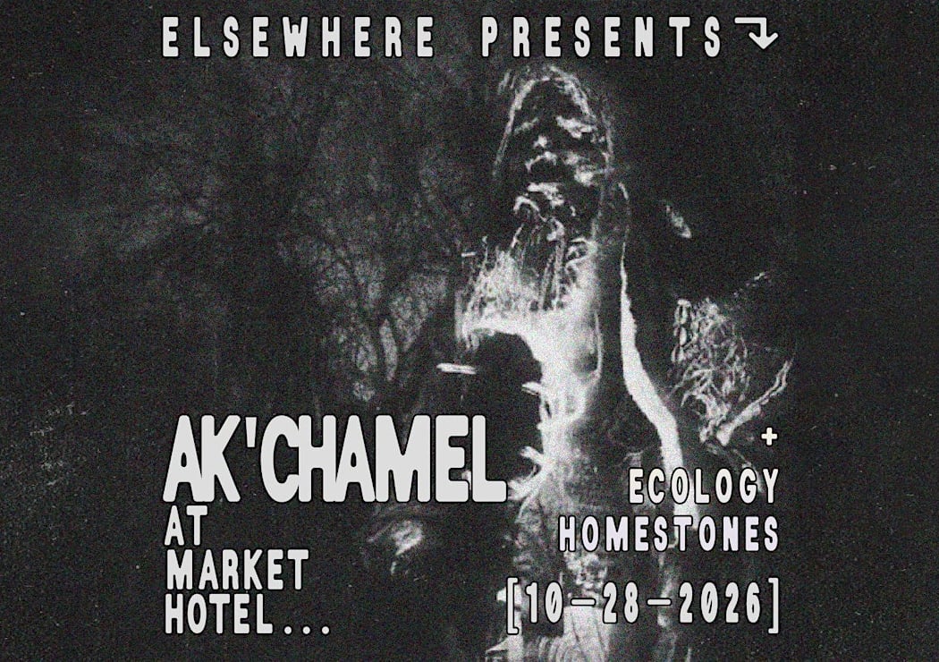 Elsewhere Presents: Ak chamel @ Market Hotel (w/ Ecology Homestones)