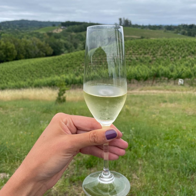 Iron Horse Vineyards 2