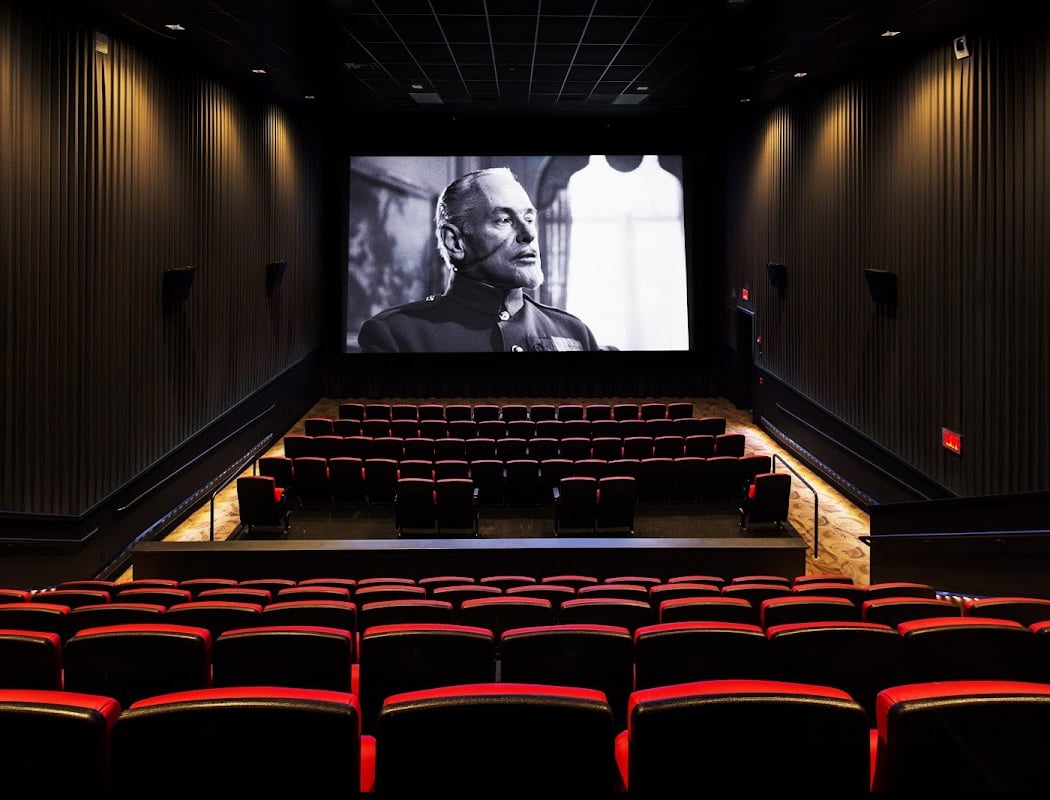 Bryn Mawr Film Institute 1