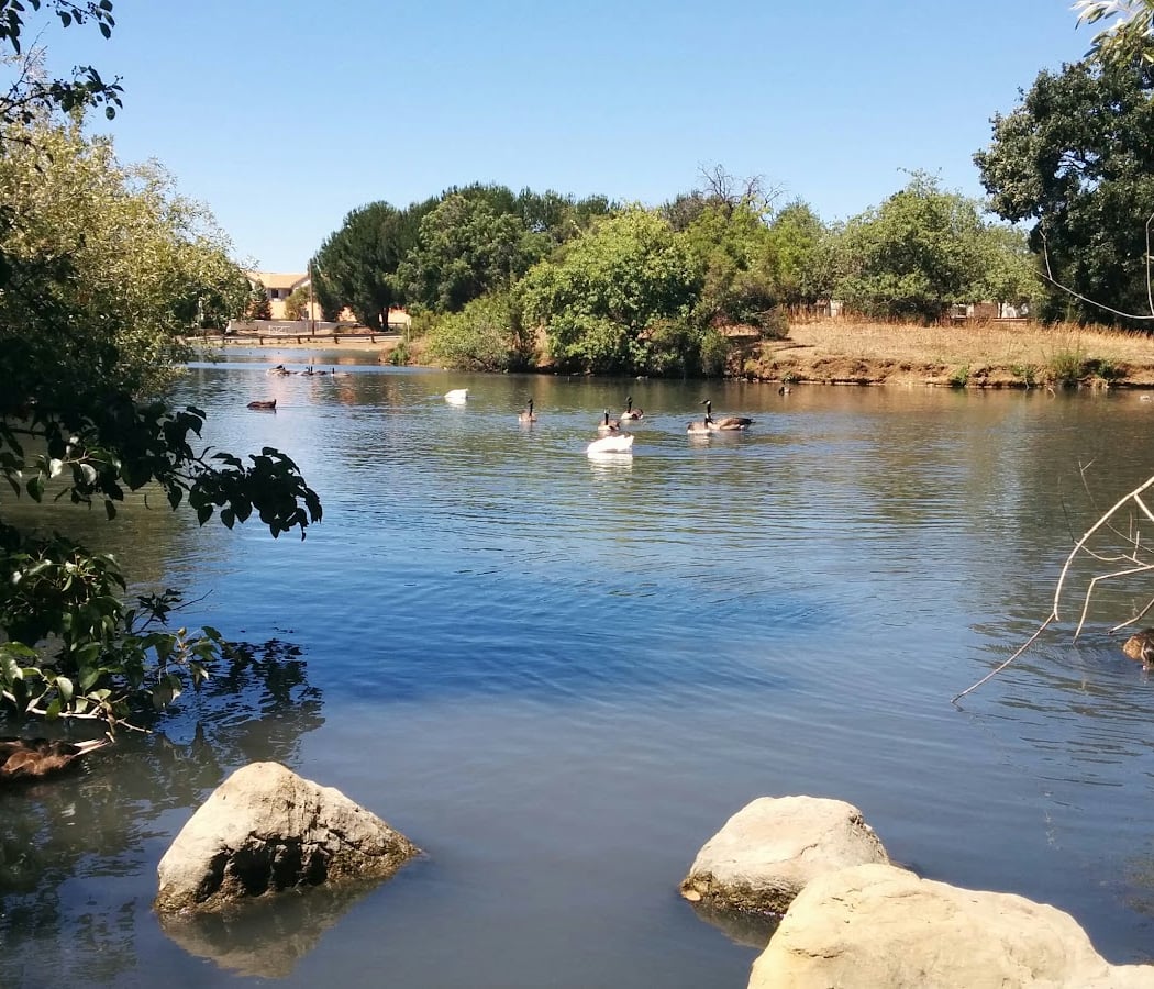 Concord California Turkey Trot 5K 3
