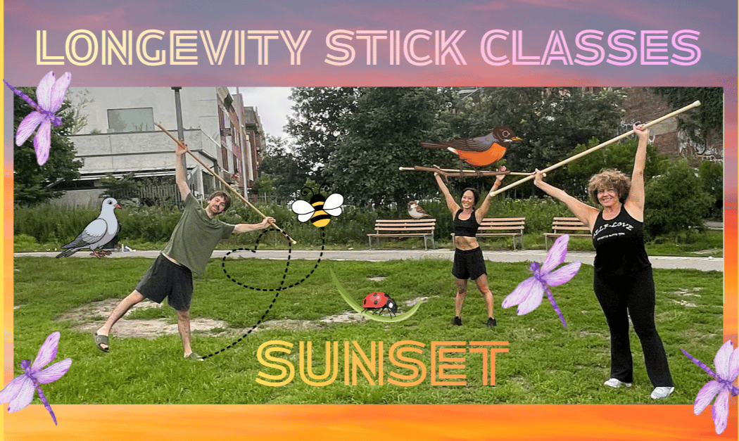 Longevity Stick Class (FRIDAY SUNSET)