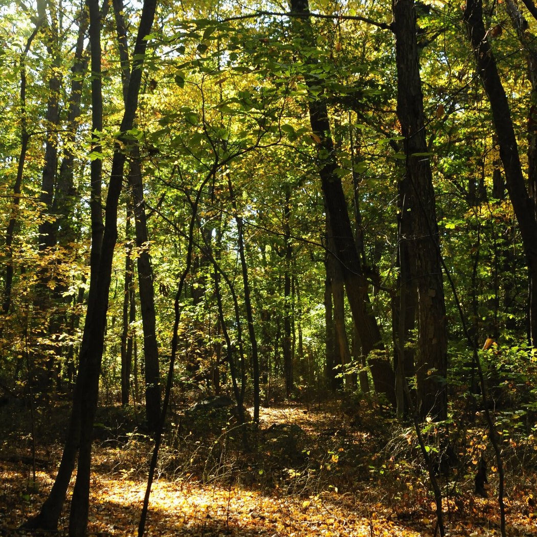 Rye Nature Center 2