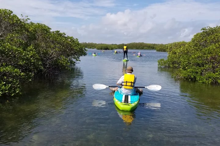 Jones Lagoon Eco-Adventure Paddle 3