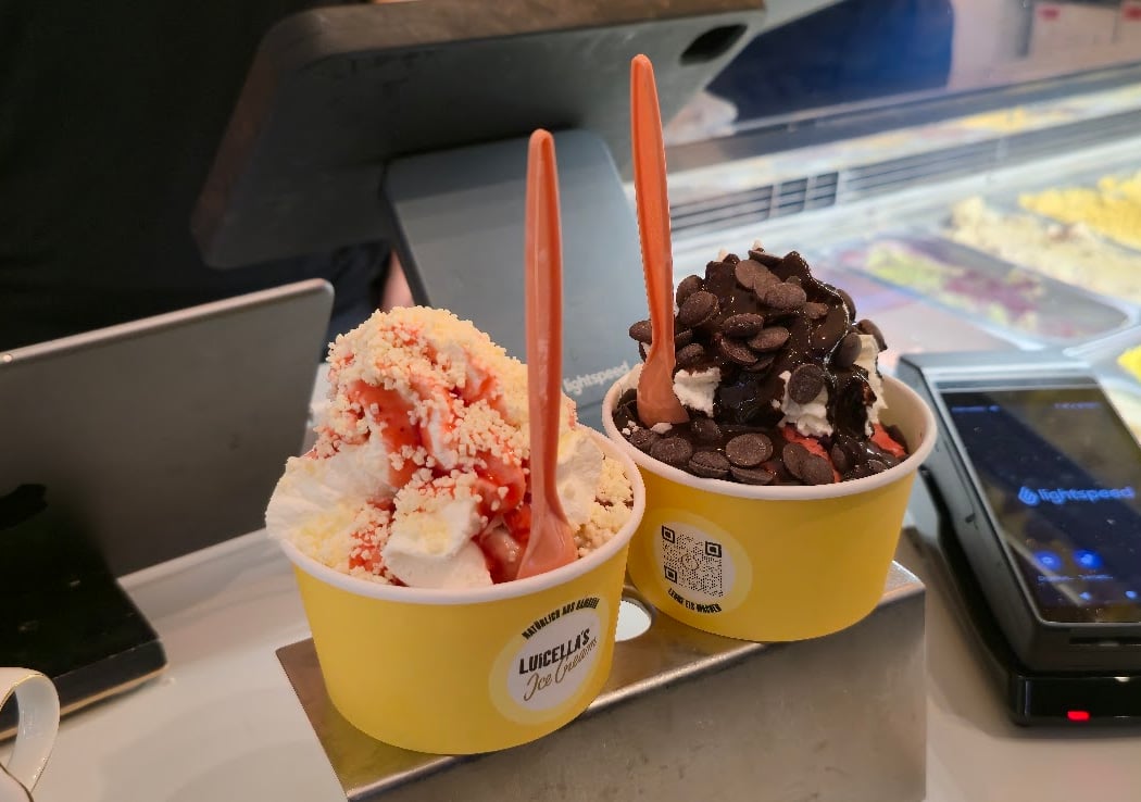 Luicella's Ice Cream 2