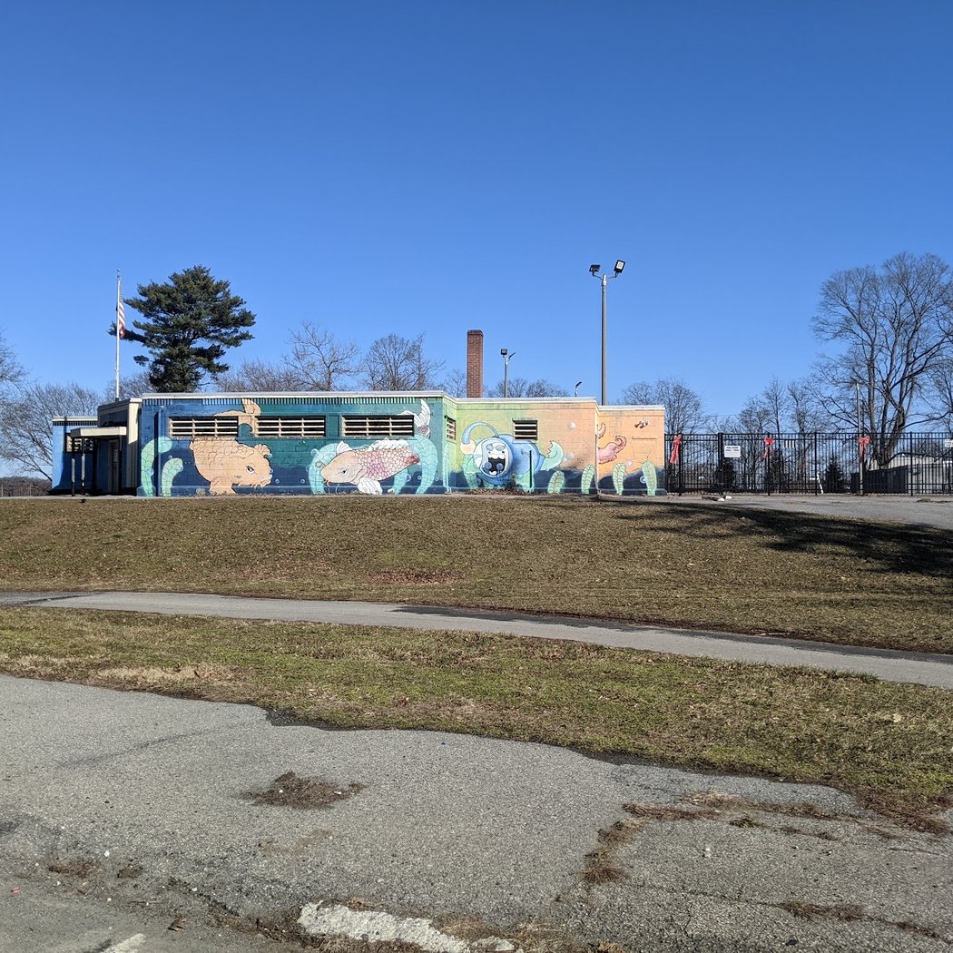 Pulaski Park Pool 3