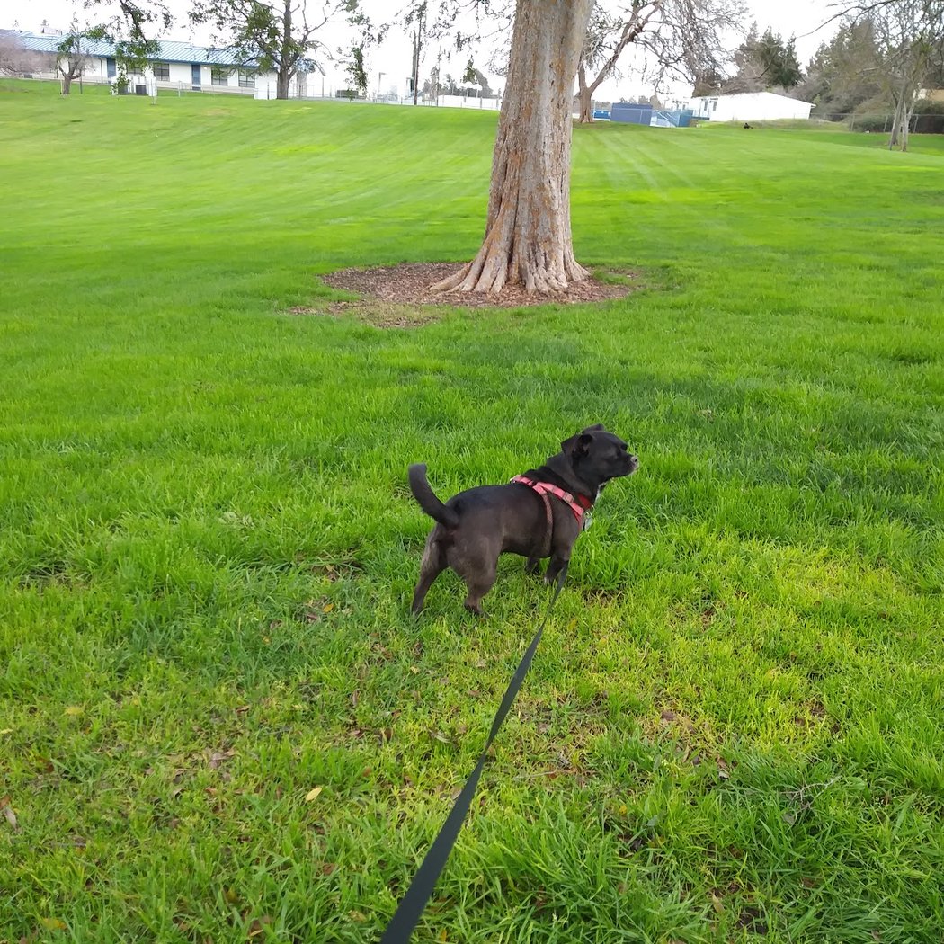 Veterans Memorial Park 3