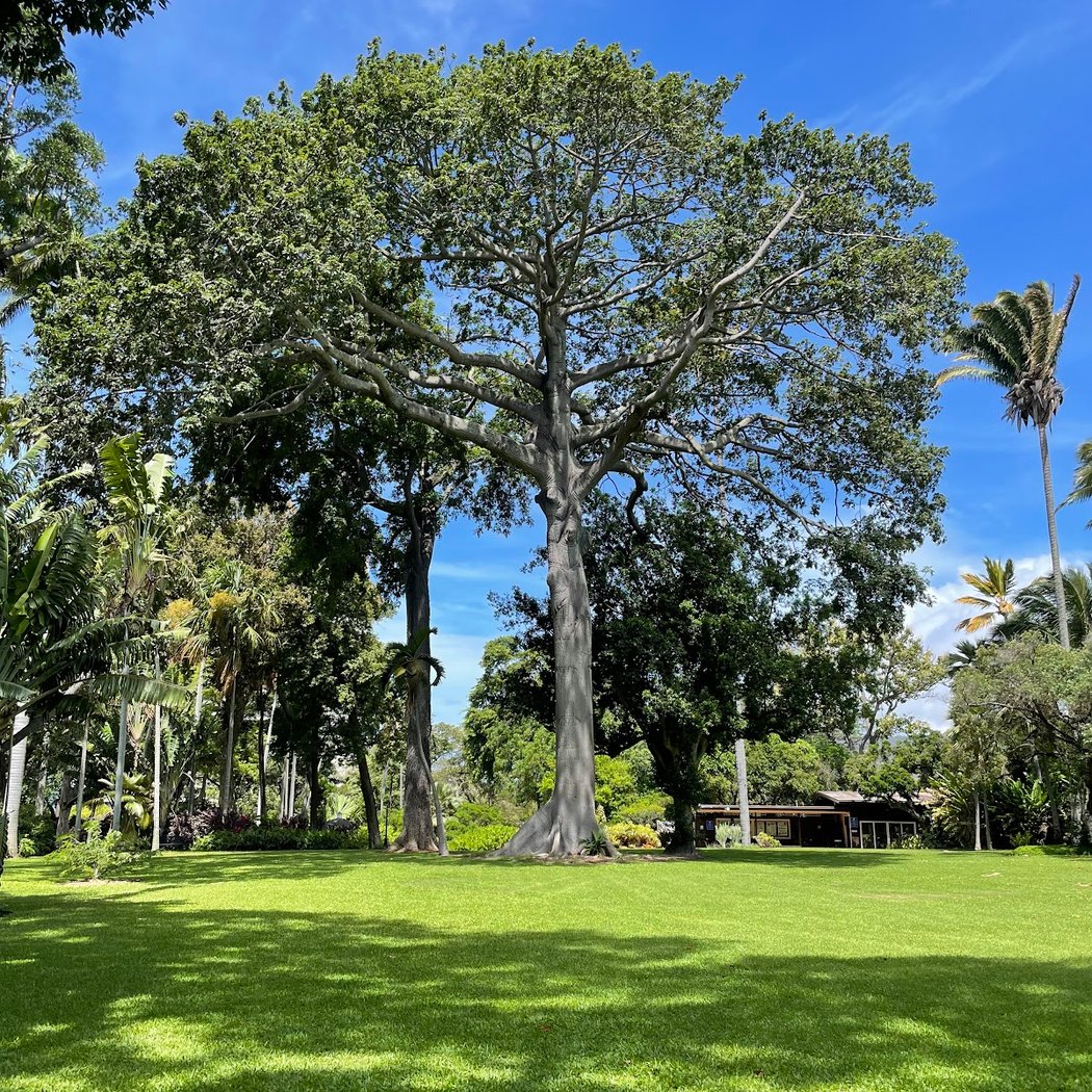 Foster Botanical Garden 2