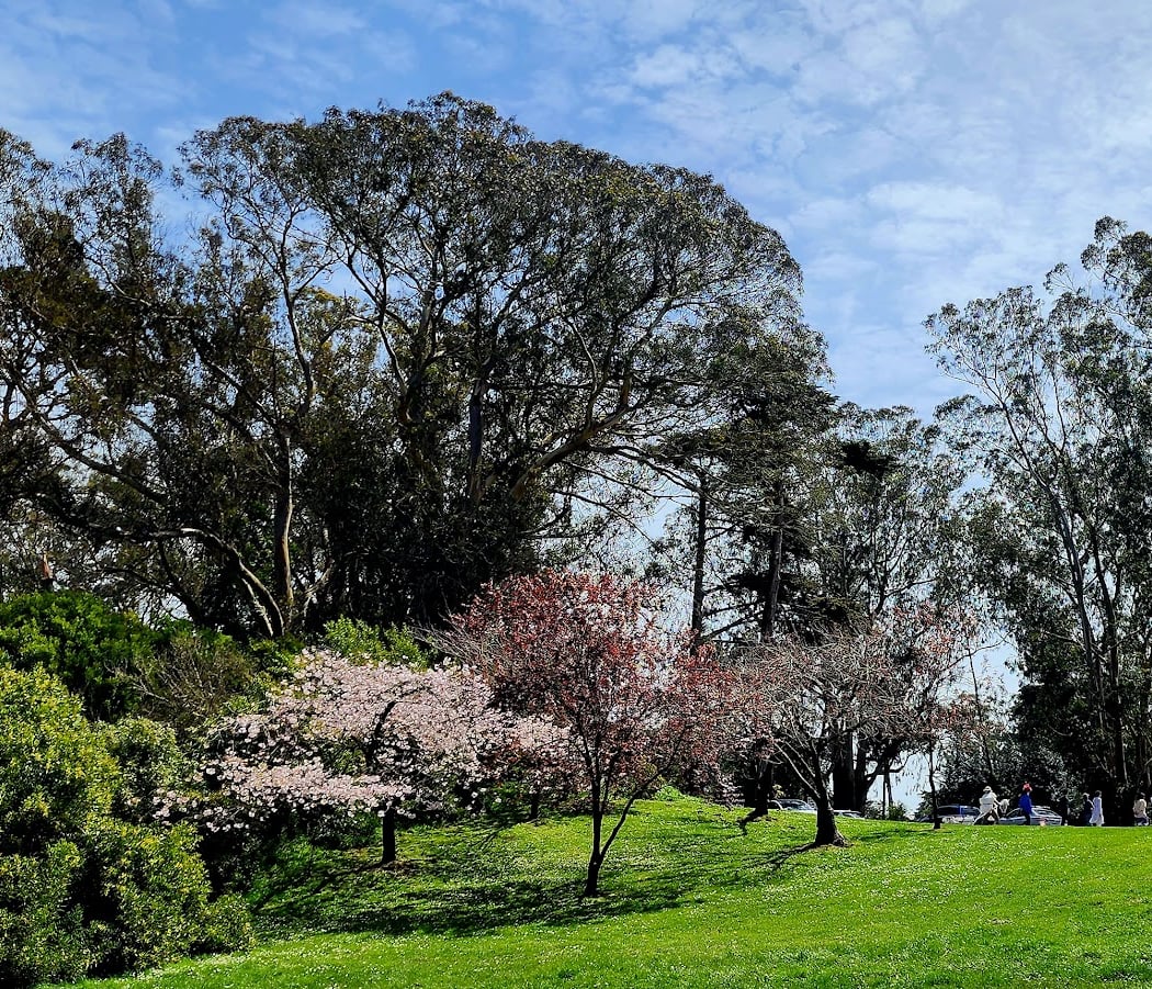 Marx Event Meadow 3