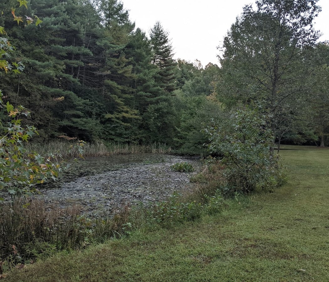 Blackbird State Forest 3