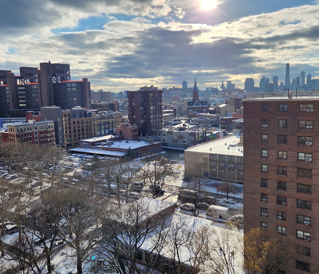 Bushwick Houses 1
