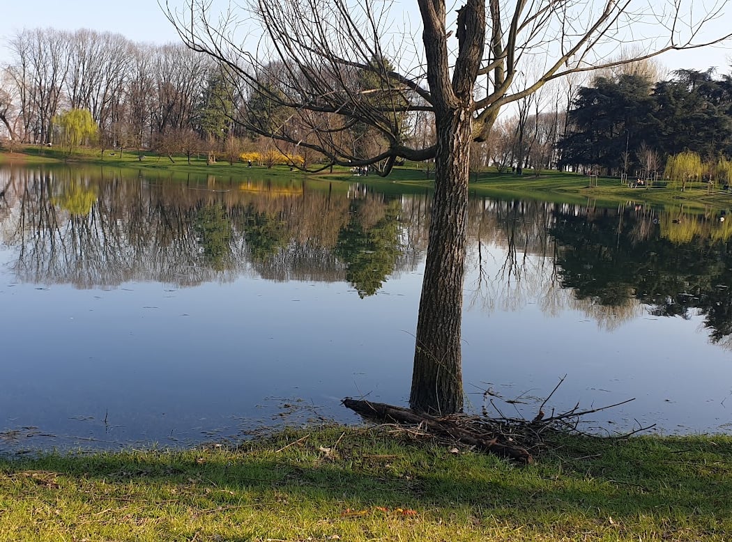 Parco Forlanini 3