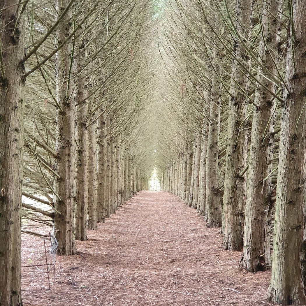 Parc de la Mevellière 1