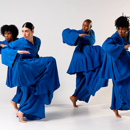 Ronald K. Brown & Evidence - A Dance Company 1