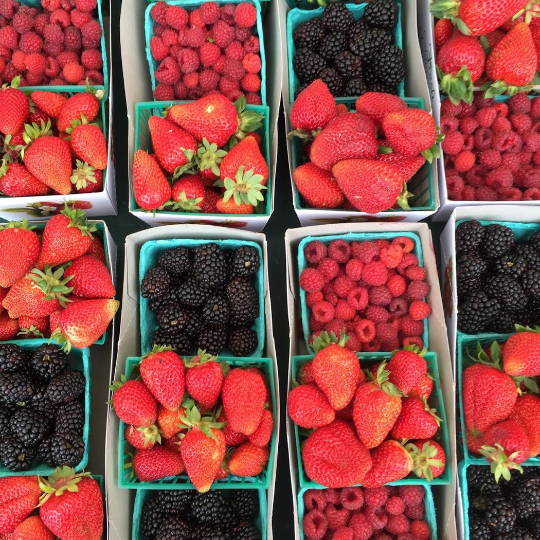 Kids Day at the Market 1